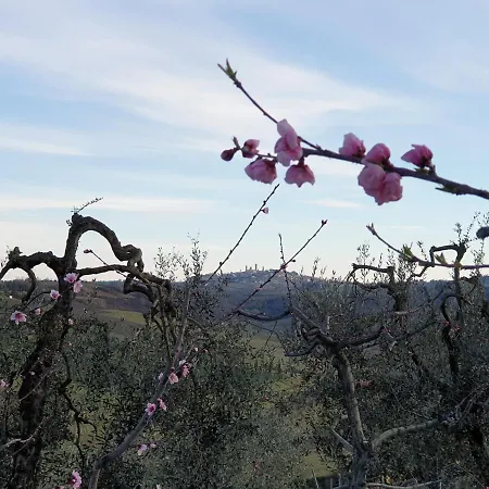 Villino Del Grillo Farm stay *