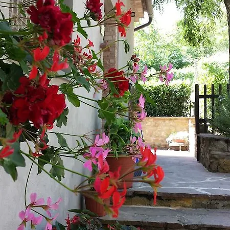 Alojamento de Turismo Rural Villino Del Grillo